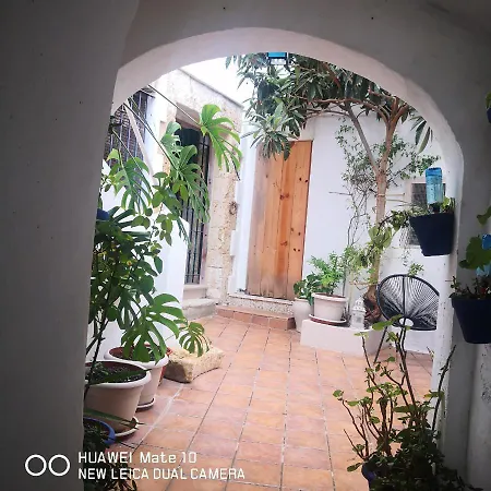 Besara Vejer Вьер де ла Фронтера