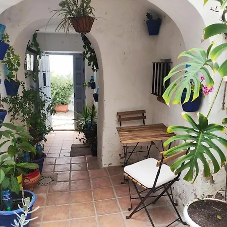 Besara Vejer *